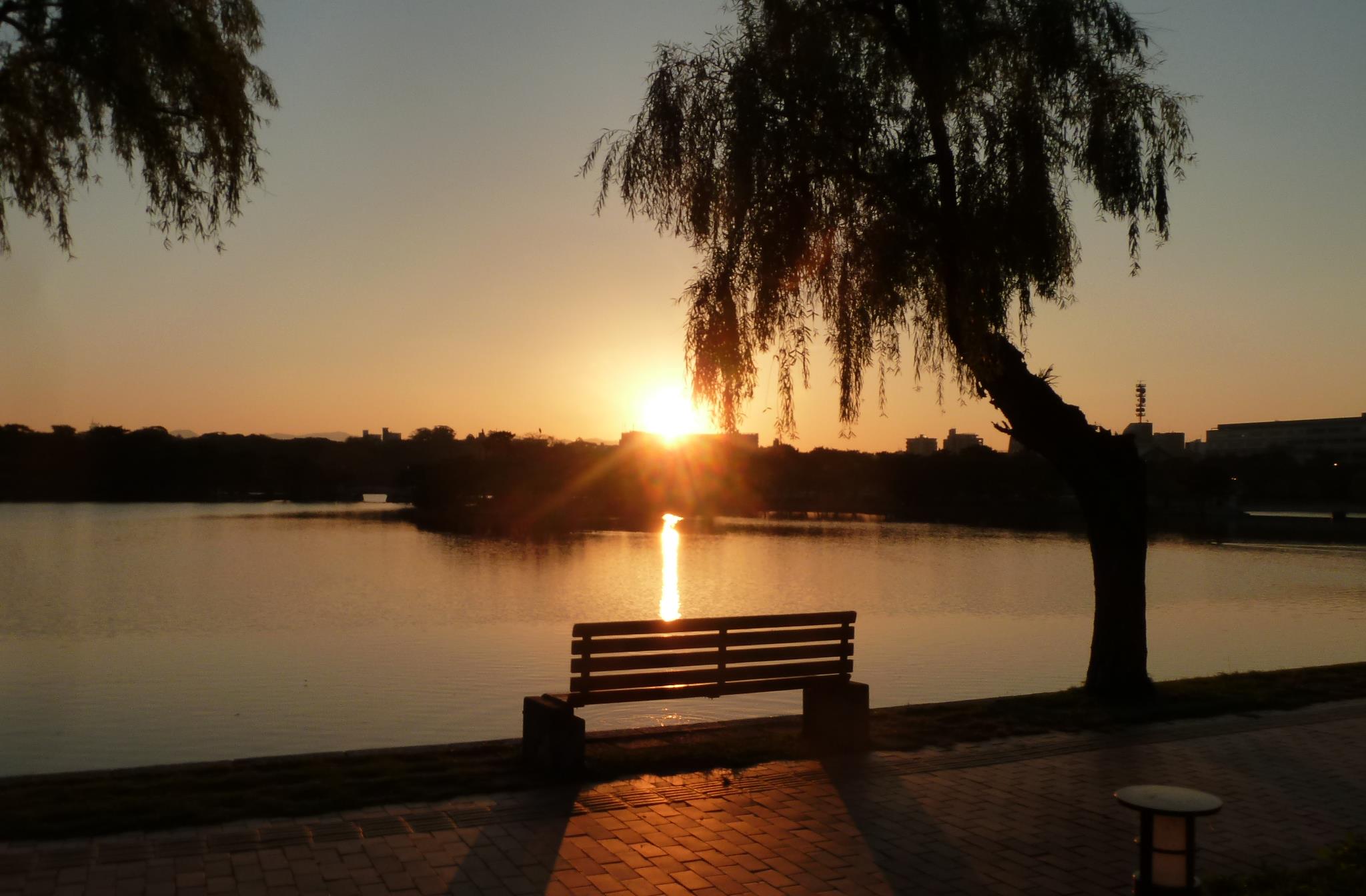 f0166694_2123414.jpg