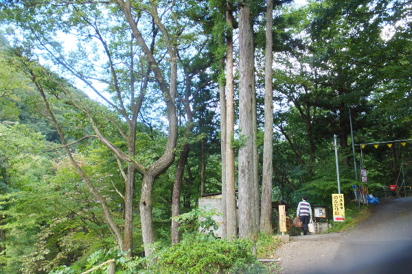 d0080998_2314581.jpg