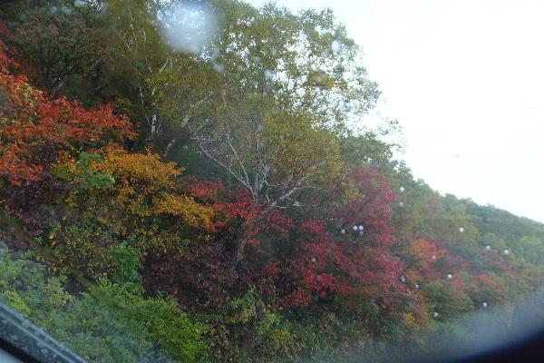 d0080998_2394338.jpg