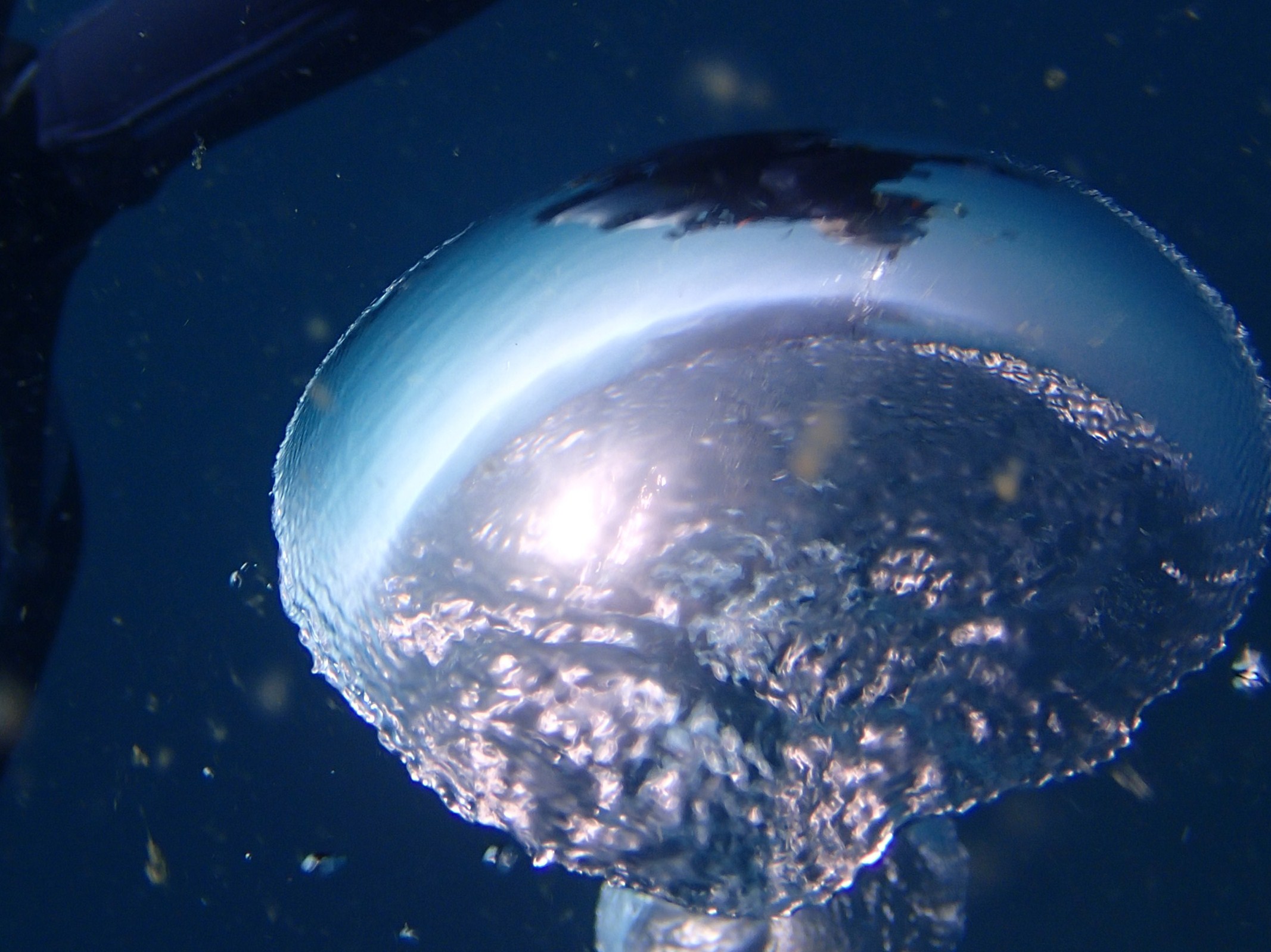e0115199_1774928.jpg