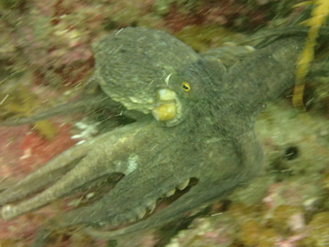 e0115199_1957409.jpg
