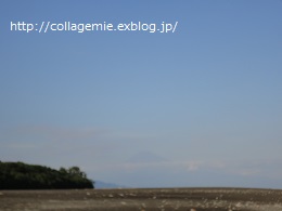 a0223701_171679.jpg