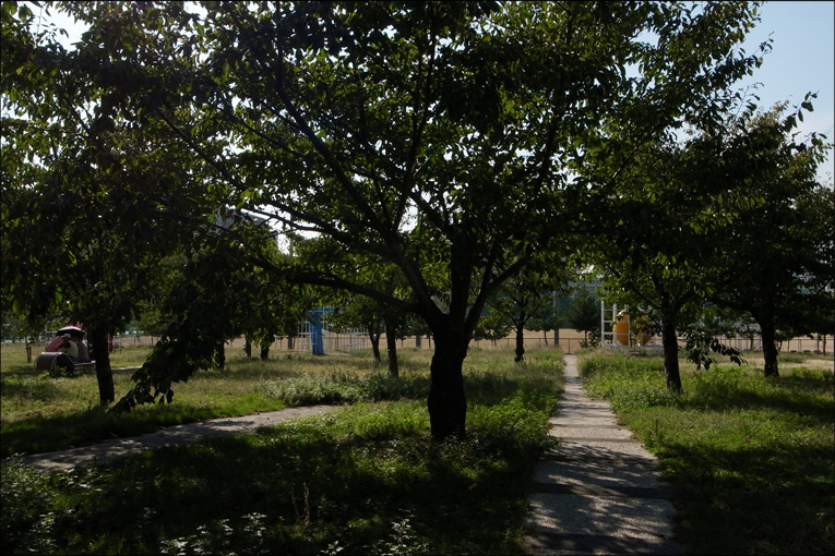 c0102003_1343399.jpg