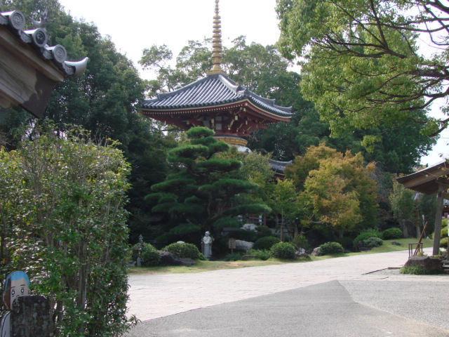 a0063907_00548.jpg