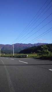 d0005807_7411763.jpg