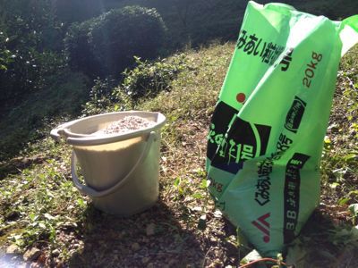 お礼肥えと伊勢エビ_a0300410_17203650.jpg