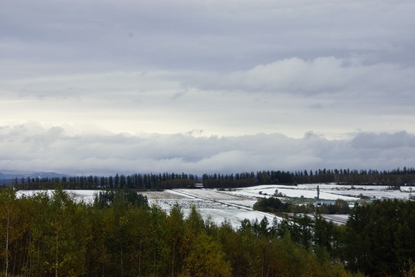b0137412_22352899.jpg