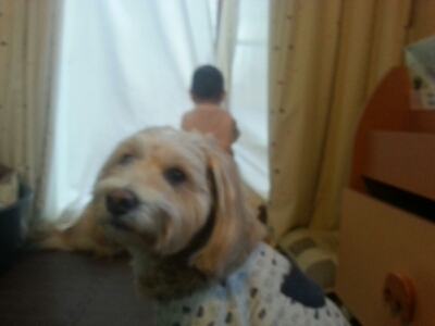 熱下がったよー_e0136815_12485859.jpg