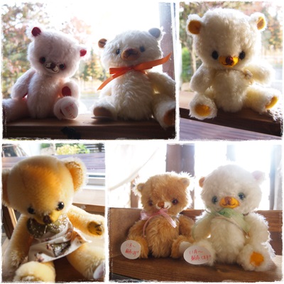 11月12月限定の作家さん＊sweet bear_d0190719_6551945.jpg