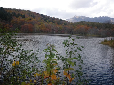 e0156534_1610042.jpg