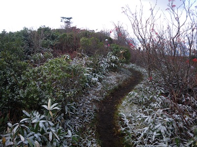 e0156534_16302.jpg