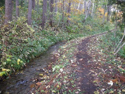 e0156534_166314.jpg