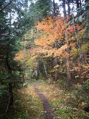 e0156534_1663637.jpg