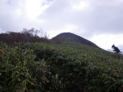 e0156534_1672720.jpg