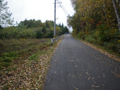 e0156534_1684251.jpg