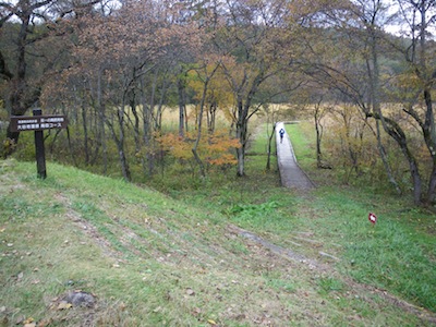 e0156534_1685759.jpg