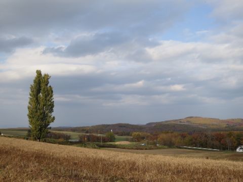 d0111435_2027399.jpg
