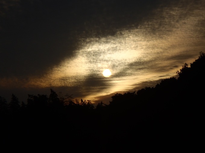 a0054240_22422383.jpg