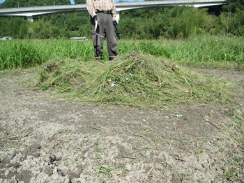 f0064449_194416.jpg