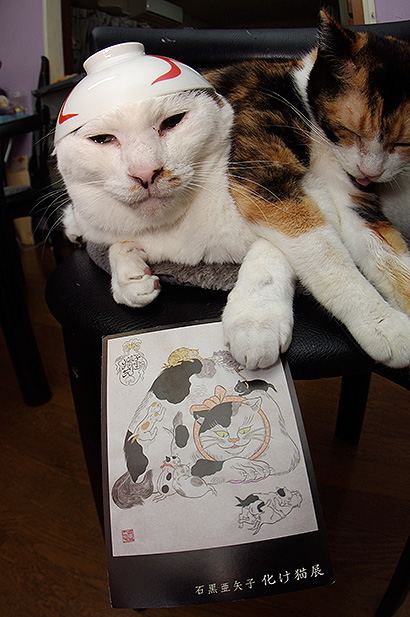 石黒亜矢子さん 化け猫展_a0028451_12394281.jpg