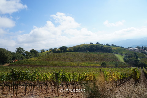 c0206352_2253166.jpg