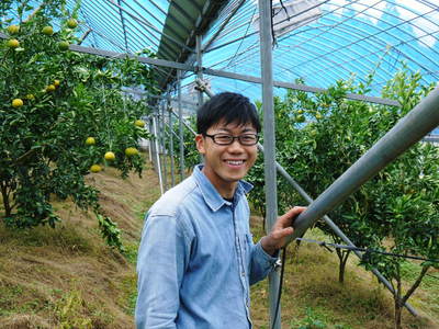 究極の柑橘「せとか」 いよいよ色付いてきました!でも、もう1回り大きくなりますよ!!_a0254656_18242625.jpg
