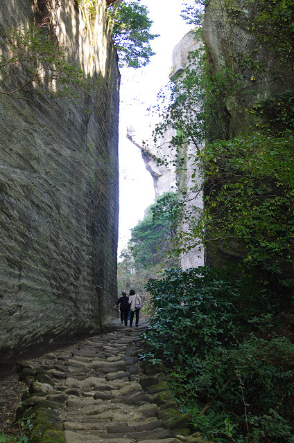 c0080357_11483040.jpg