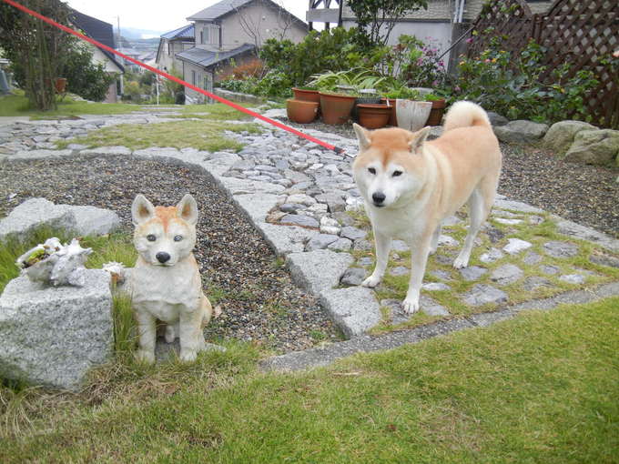 ’13,10,29(火)すっきりしているけど雨~!_f0060461_11344182.jpg