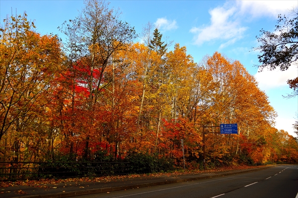 b0281366_10423968.jpg