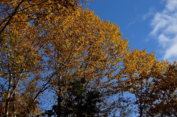 b0281366_10431272.jpg