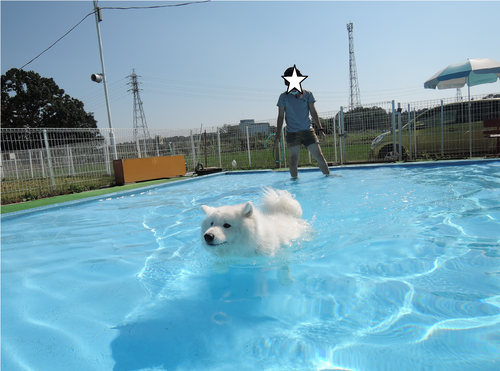 d0251768_18505618.png