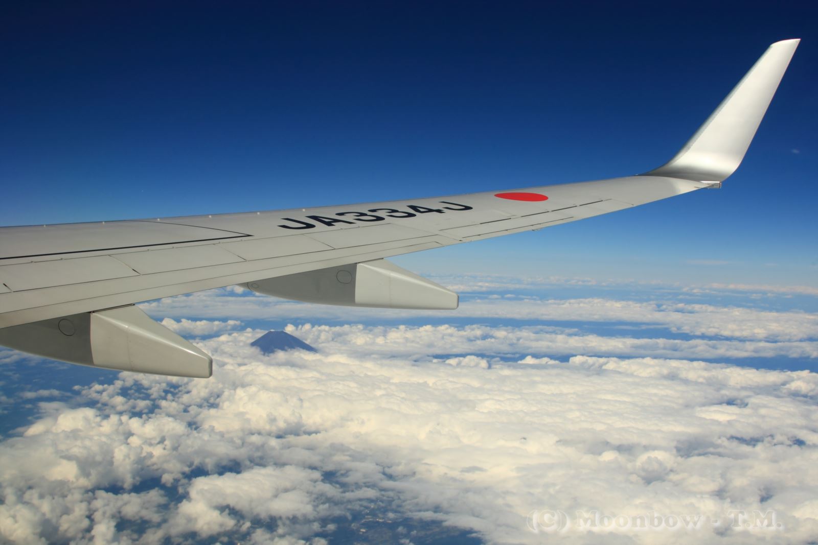 飛行機内からの富士山_e0197769_20405955.jpg