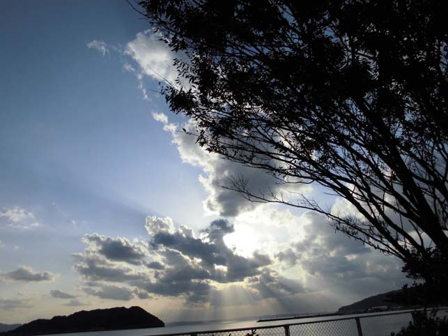 糸島撮影_f0176370_15425813.jpg