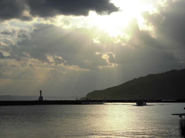 糸島撮影_f0176370_15431689.jpg
