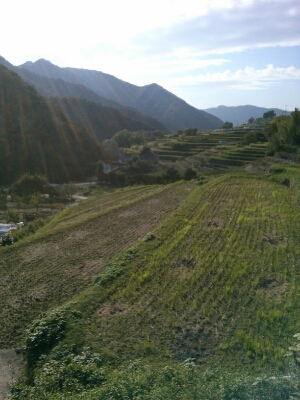 b0309171_23155867.jpg