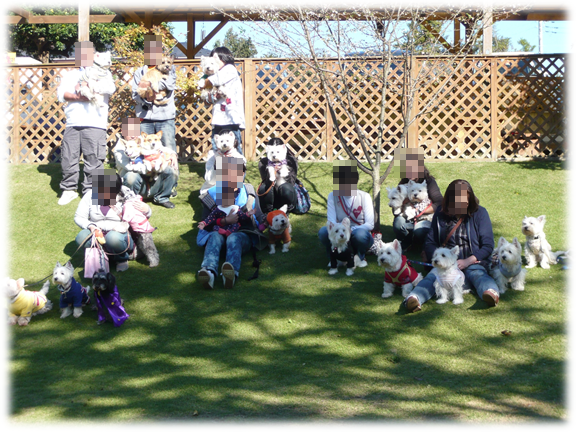 ♪ ダニエル 白犬集会 in ユーカリ 7th (*ﾟ▽ﾟ*) ♪ 集合写真_b0242873_14272290.png