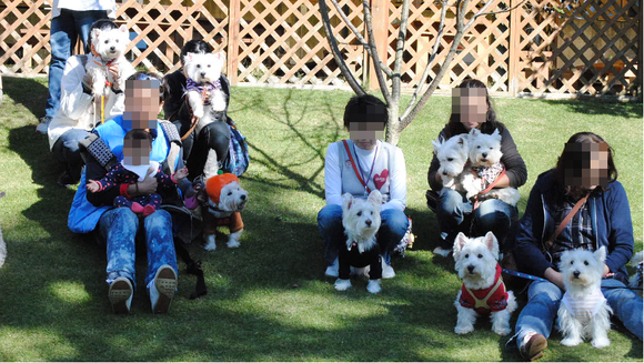 ♪ ダニエル 白犬集会 in ユーカリ 7th (*ﾟ▽ﾟ*) ♪ 集合写真_b0242873_14303189.png