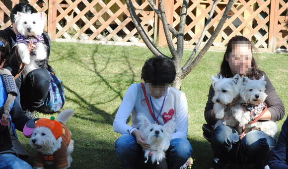 ♪ ダニエル 白犬集会 in ユーカリ 7th (*ﾟ▽ﾟ*) ♪ 集合写真_b0242873_14304114.png