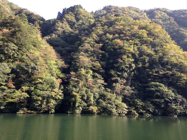 c0238374_16442034.jpg
