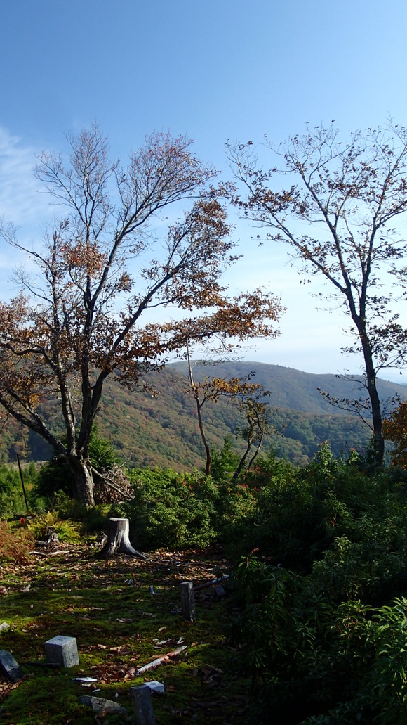 e0024081_18184612.jpg