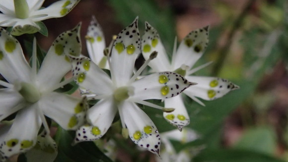 e0024081_1831429.jpg