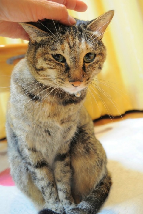 俺の女_a0126590_21354820.jpg