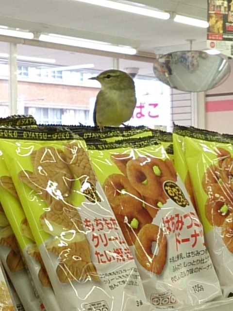 なんとこんな所に!!!_e0046190_8575945.jpg