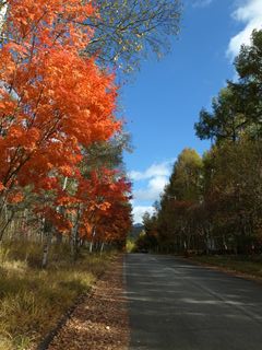 e0271890_1591790.jpg