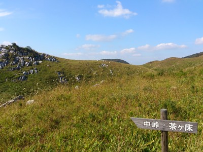 b0035391_16989.jpg