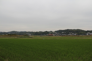 c0212298_1443187.jpg