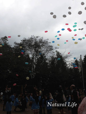 b0162000_10302314.gif