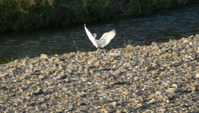 c0125501_166411.jpg