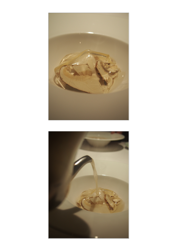 e0308105_18591353.png