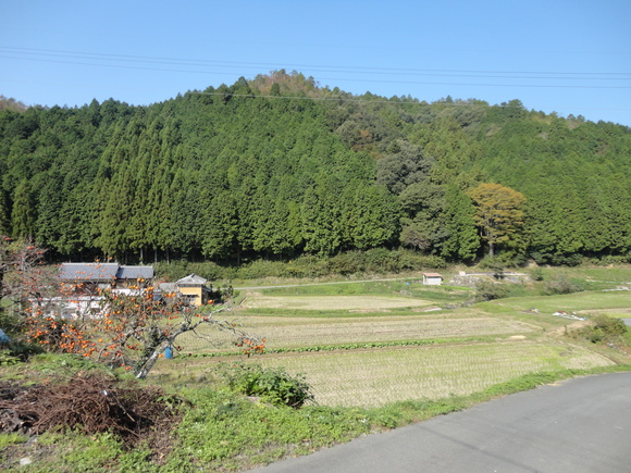 a0258409_13435486.jpg